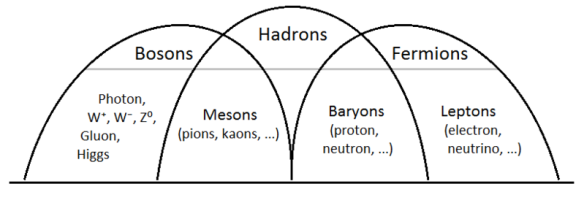 bosons hadrons and fermions diagram